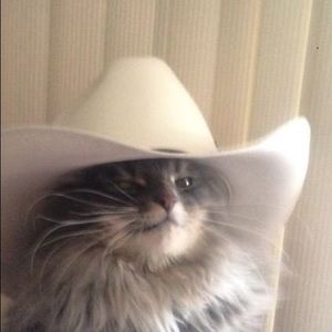 Meet your Posher, Deb